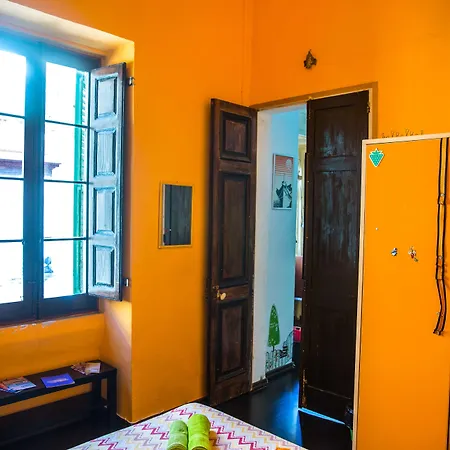 Five Trees 斯利马